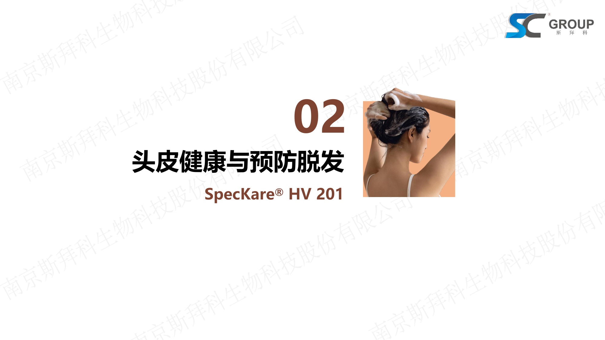 GROUP：2026年头皮健康VS头发护理报告.pdf