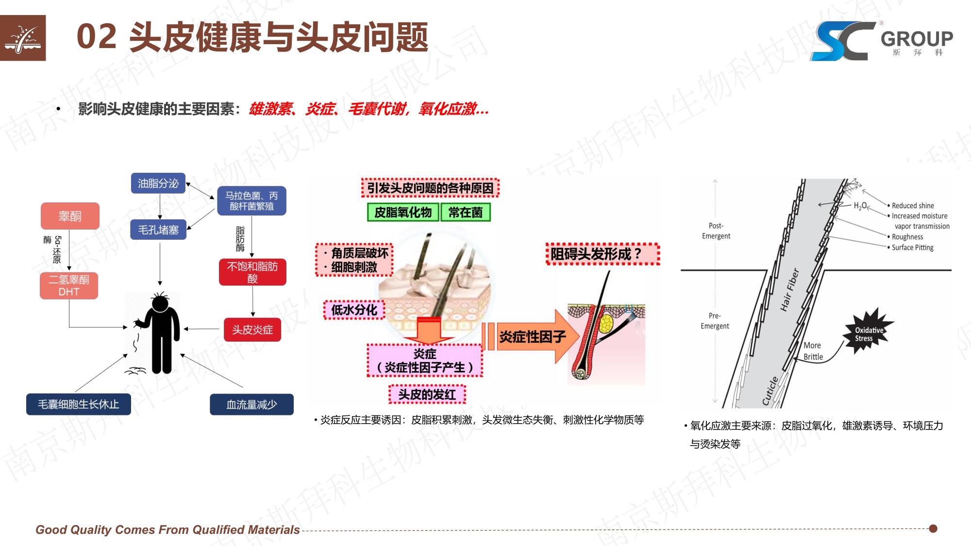 GROUP：2026年头皮健康VS头发护理报告.pdf