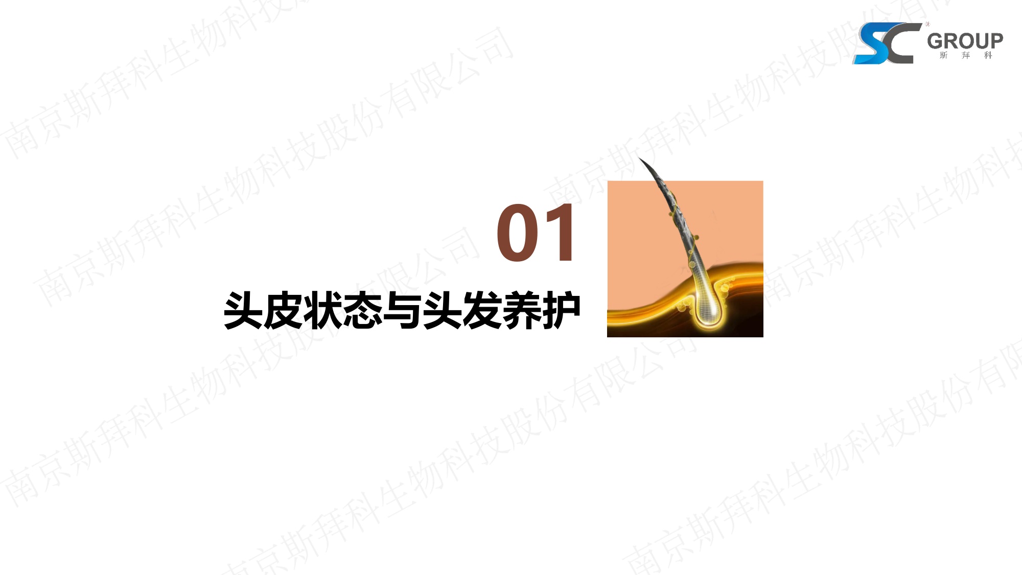 GROUP：2026年头皮健康VS头发护理报告.pdf