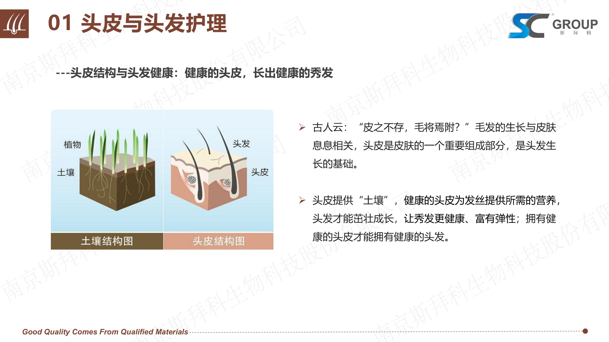 GROUP：2026年头皮健康VS头发护理报告.pdf