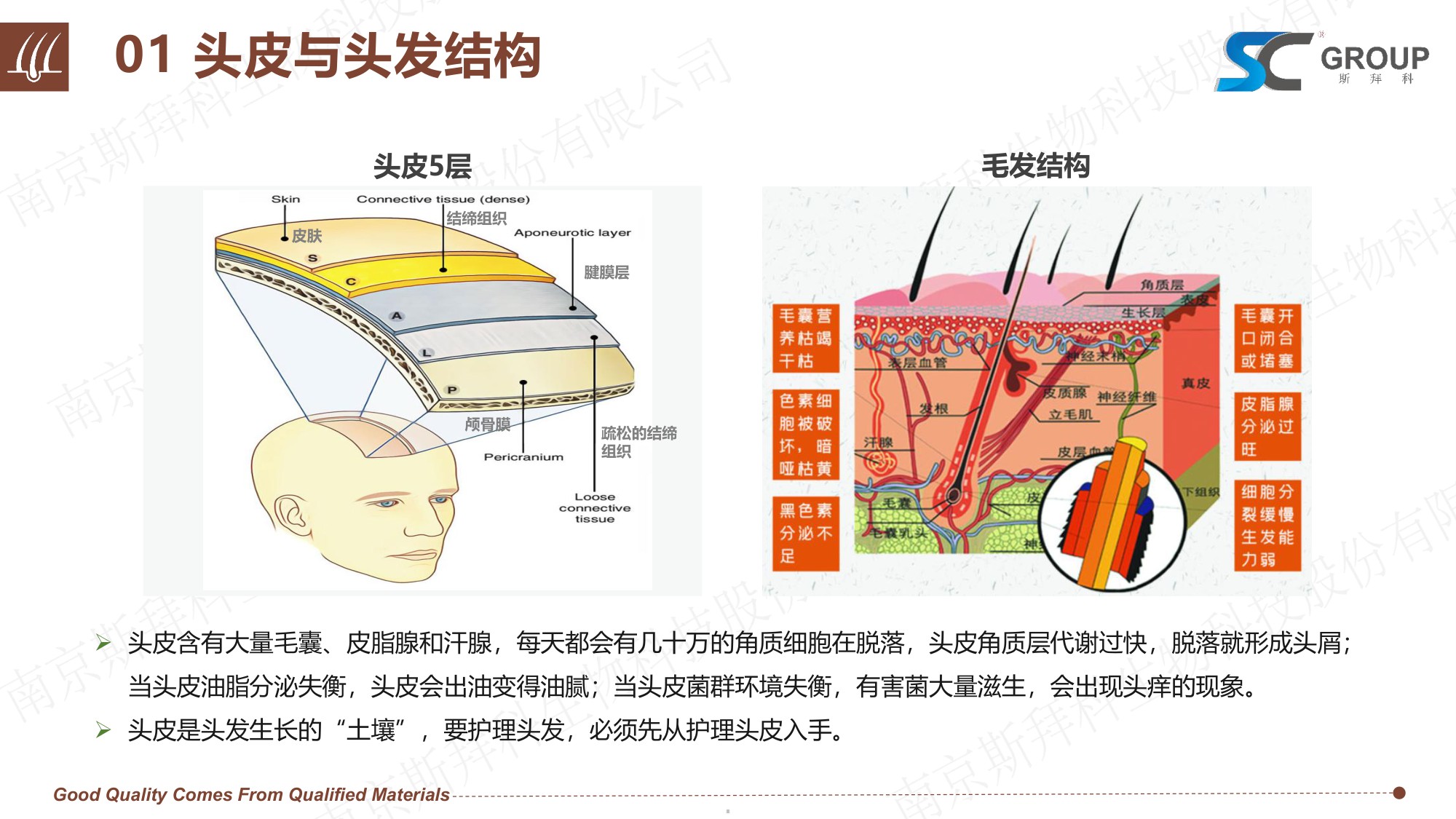 GROUP：2026年头皮健康VS头发护理报告.pdf