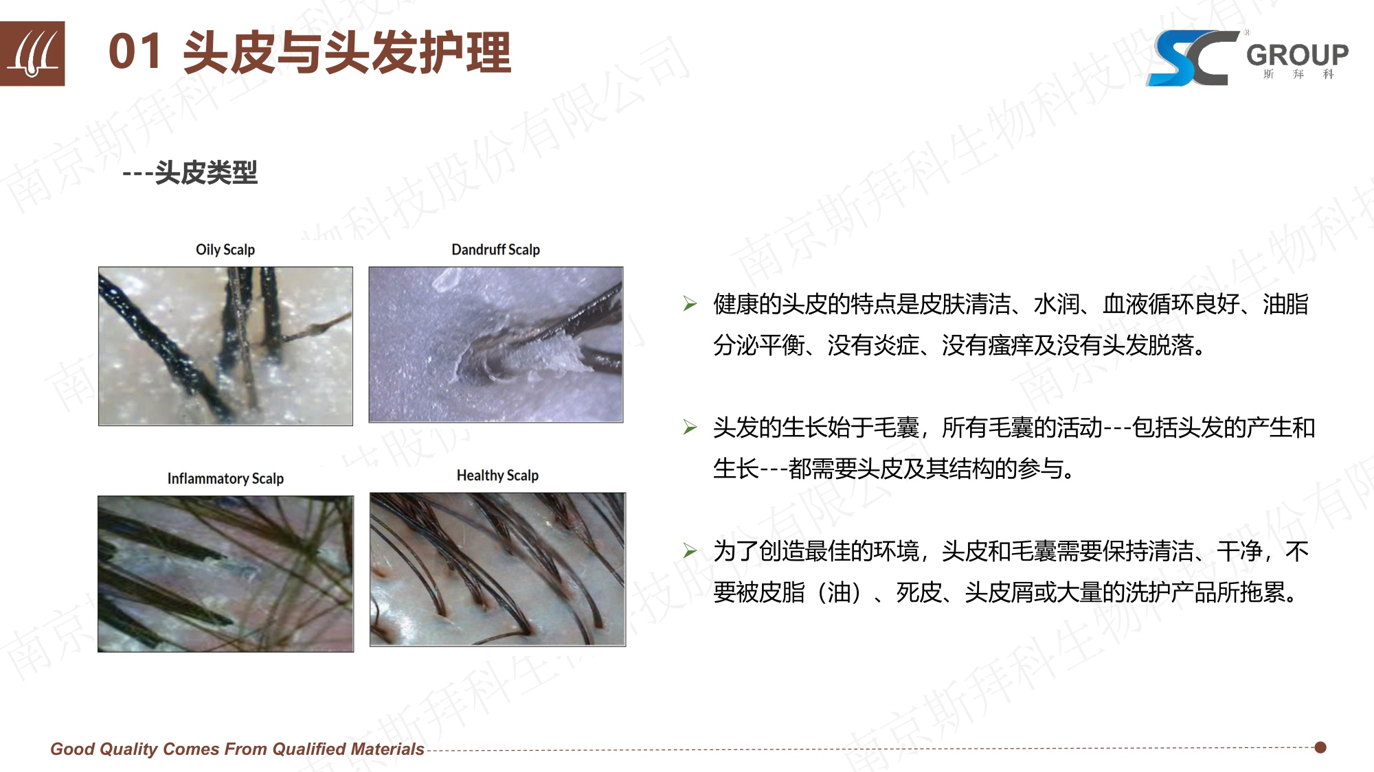 GROUP：2026年头皮健康VS头发护理报告.pdf