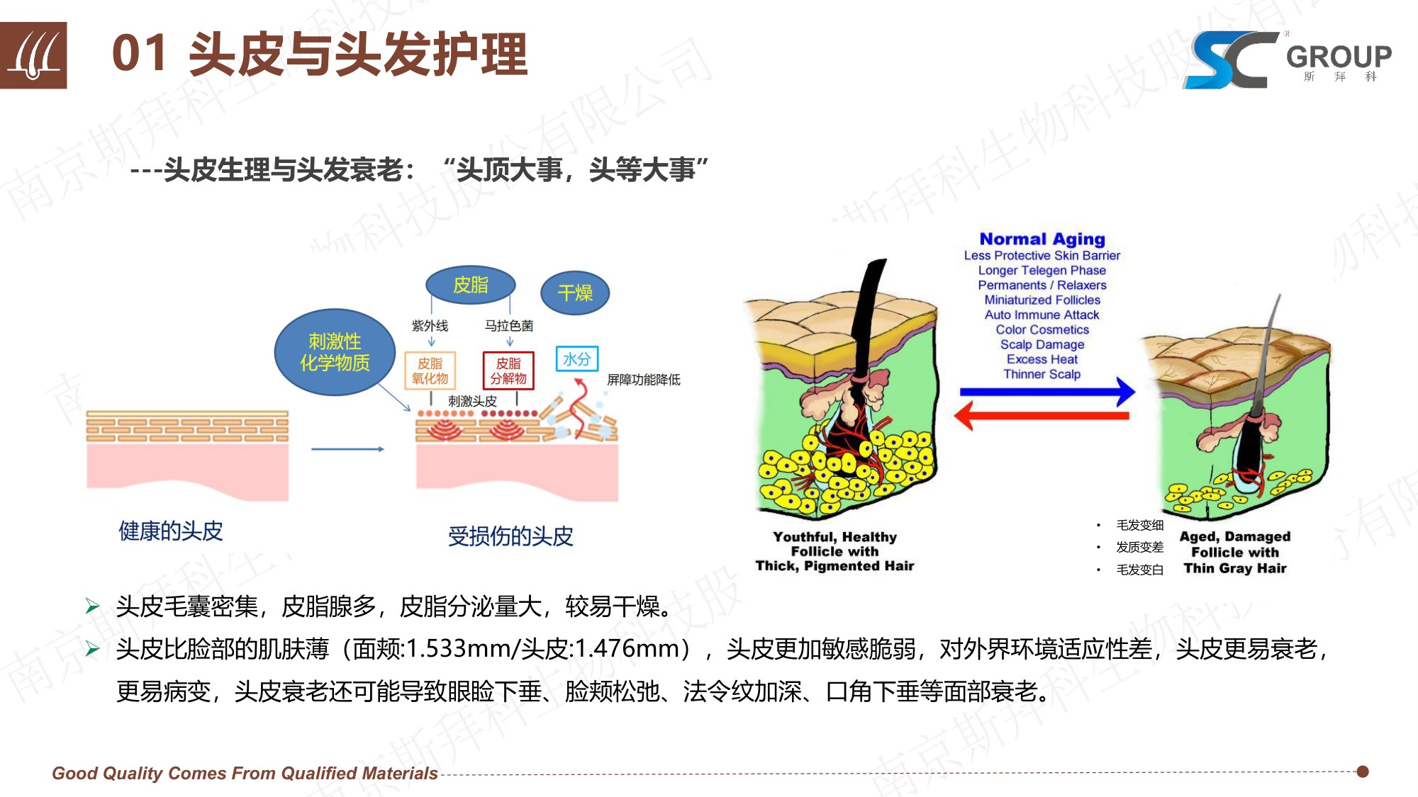 GROUP：2026年头皮健康VS头发护理报告.pdf