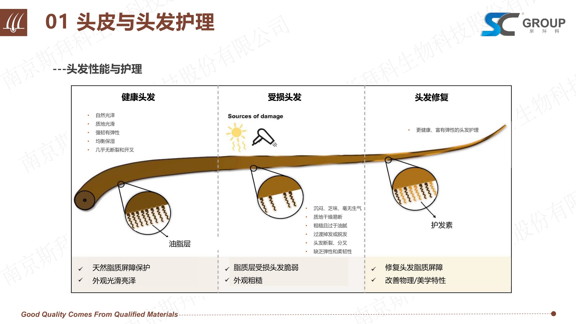 GROUP：2026年头皮健康VS头发护理报告.pdf