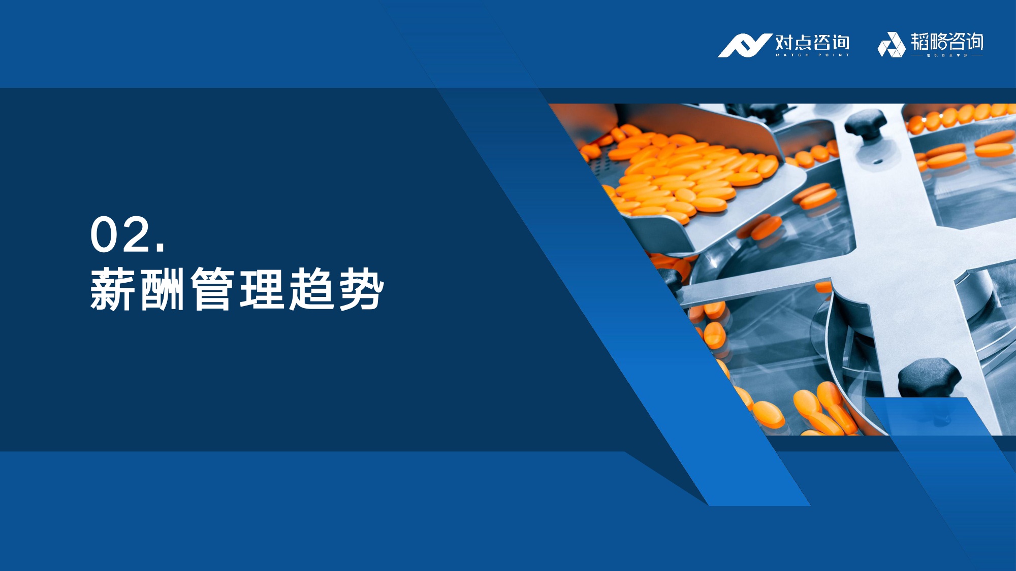 对点咨询：2025大健康行业薪酬报告.pdf