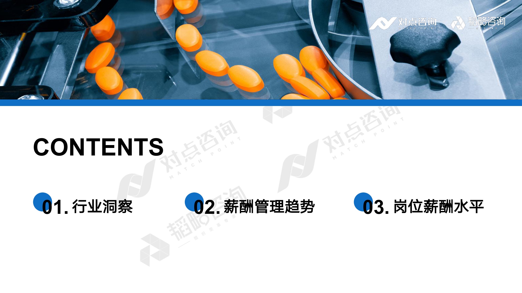 对点咨询：2025大健康行业薪酬报告.pdf