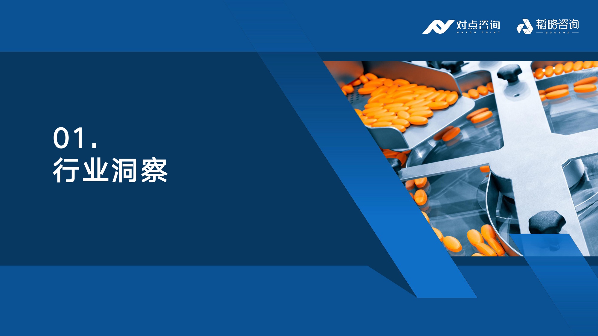 对点咨询：2025大健康行业薪酬报告.pdf