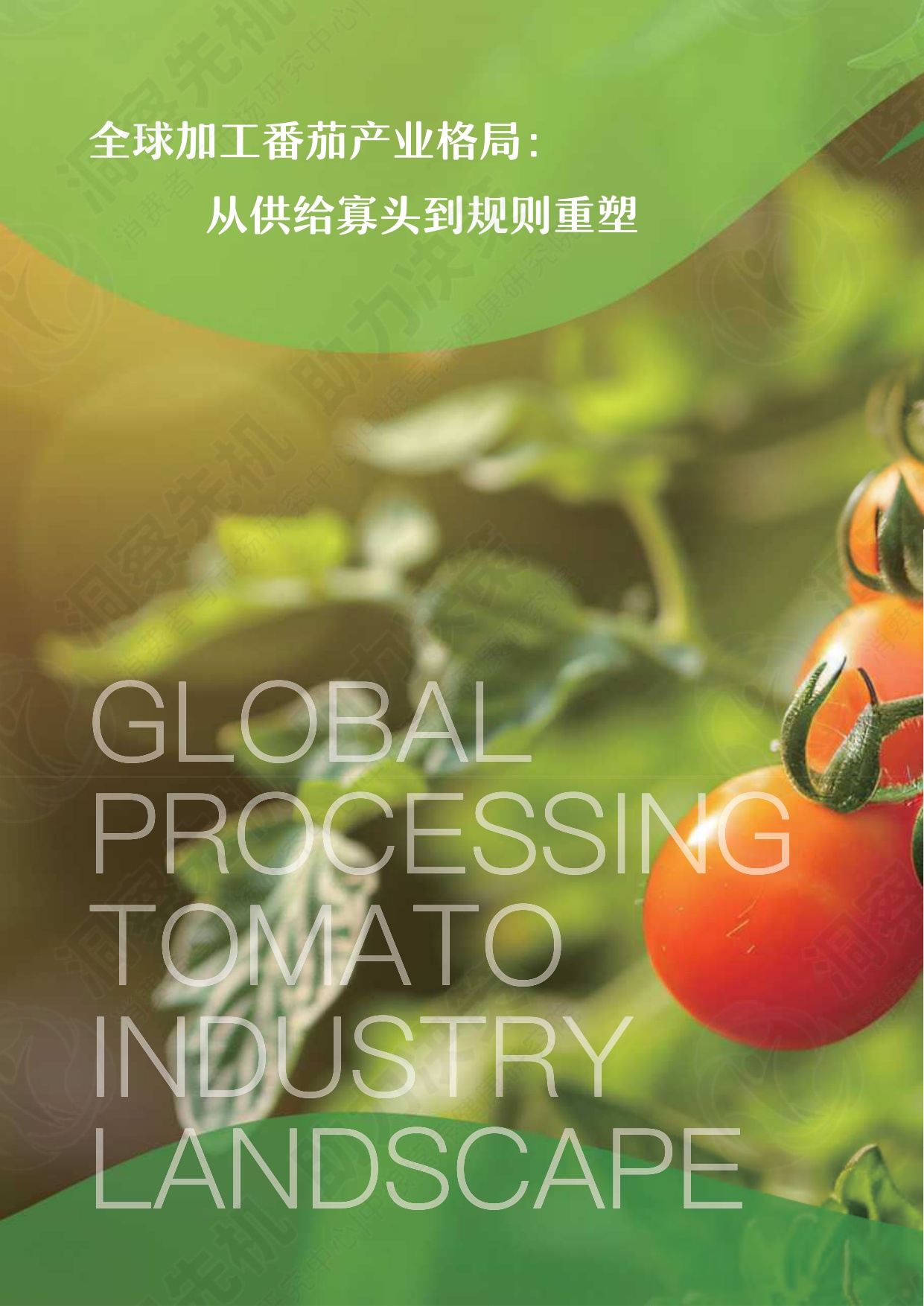 中粮营养健康研究院：2026中国加工番茄产业白皮书.pdf