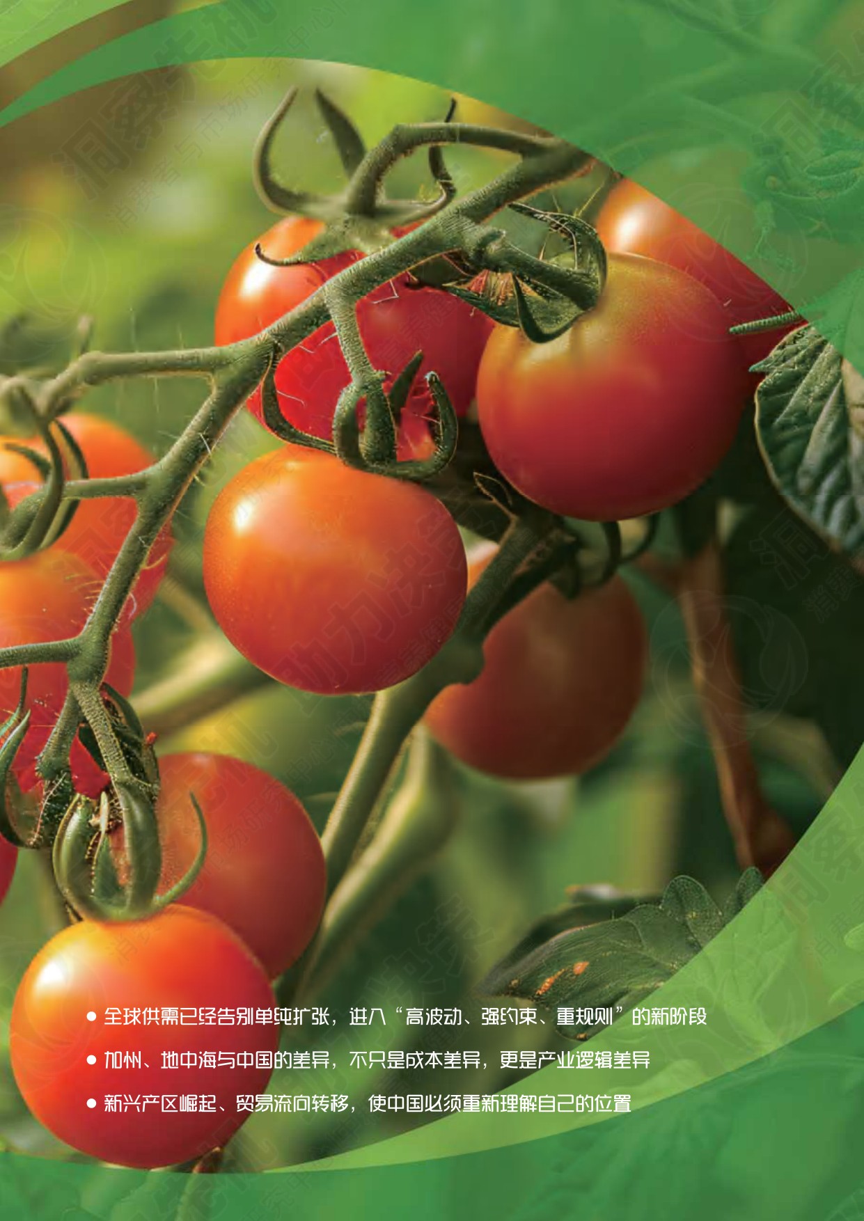 中粮营养健康研究院：2026中国加工番茄产业白皮书.pdf