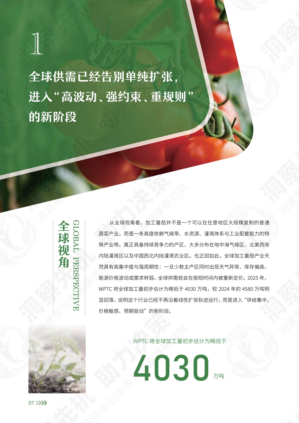 中粮营养健康研究院：2026中国加工番茄产业白皮书.pdf