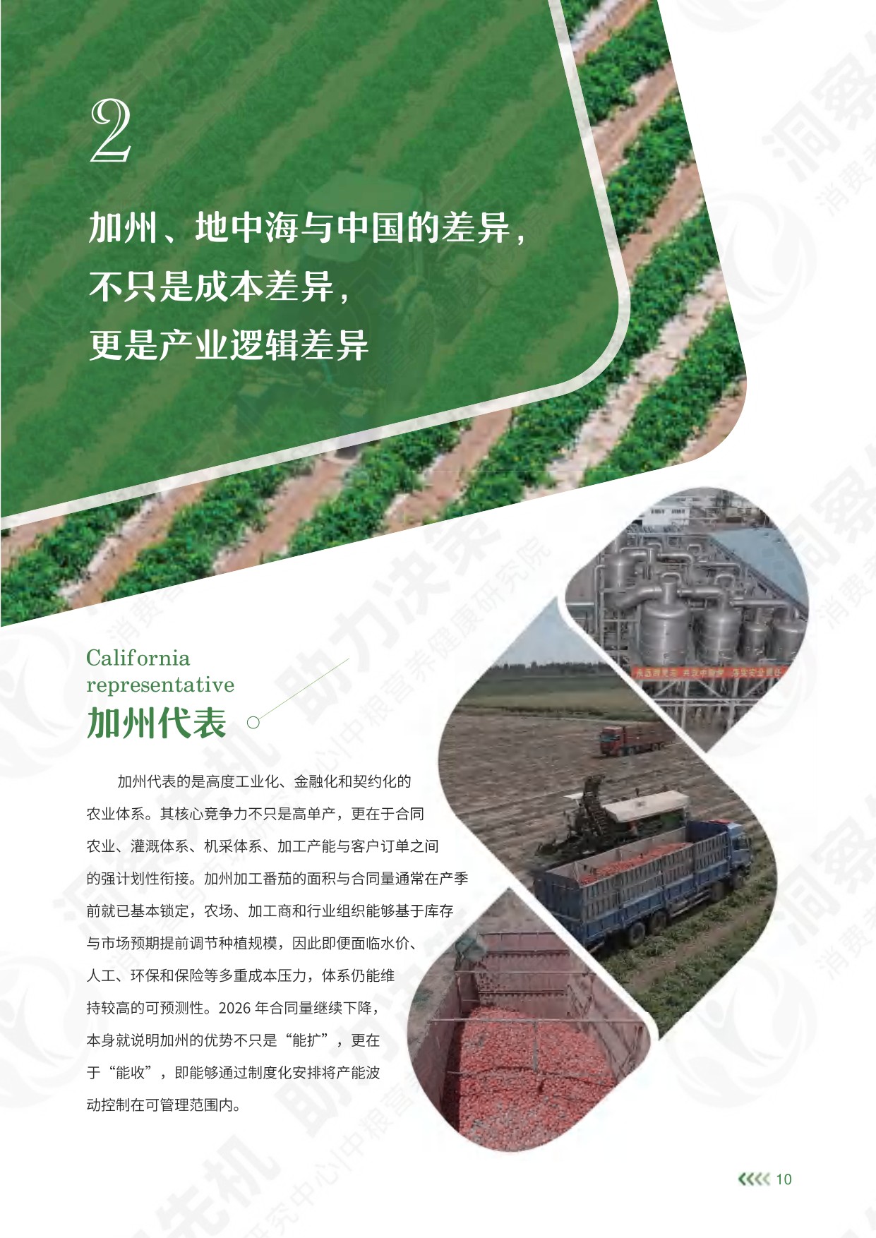 中粮营养健康研究院：2026中国加工番茄产业白皮书.pdf