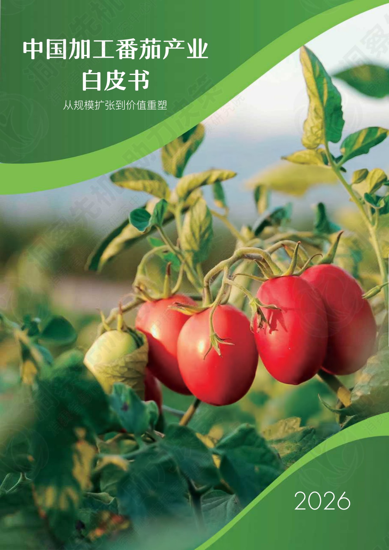 中粮营养健康研究院：2026中国加工番茄产业白皮书.pdf