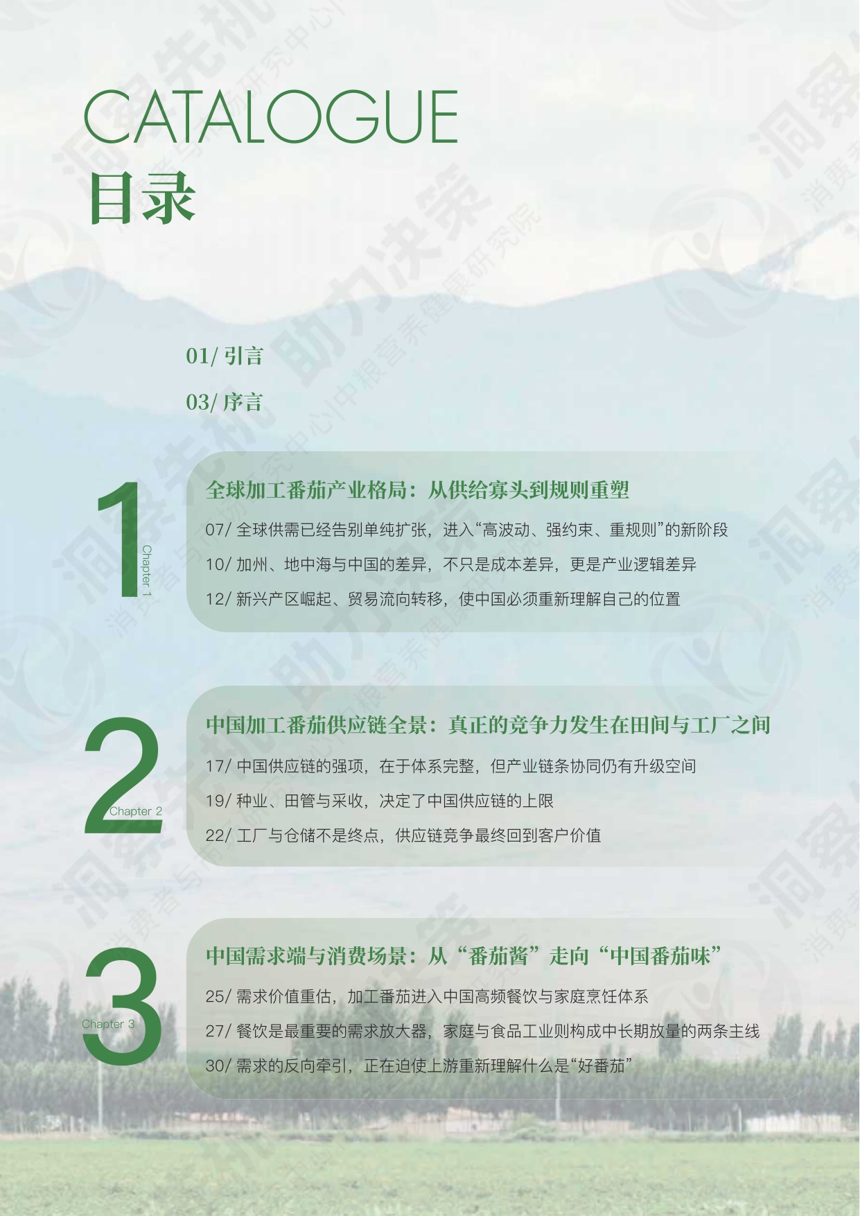 中粮营养健康研究院：2026中国加工番茄产业白皮书.pdf