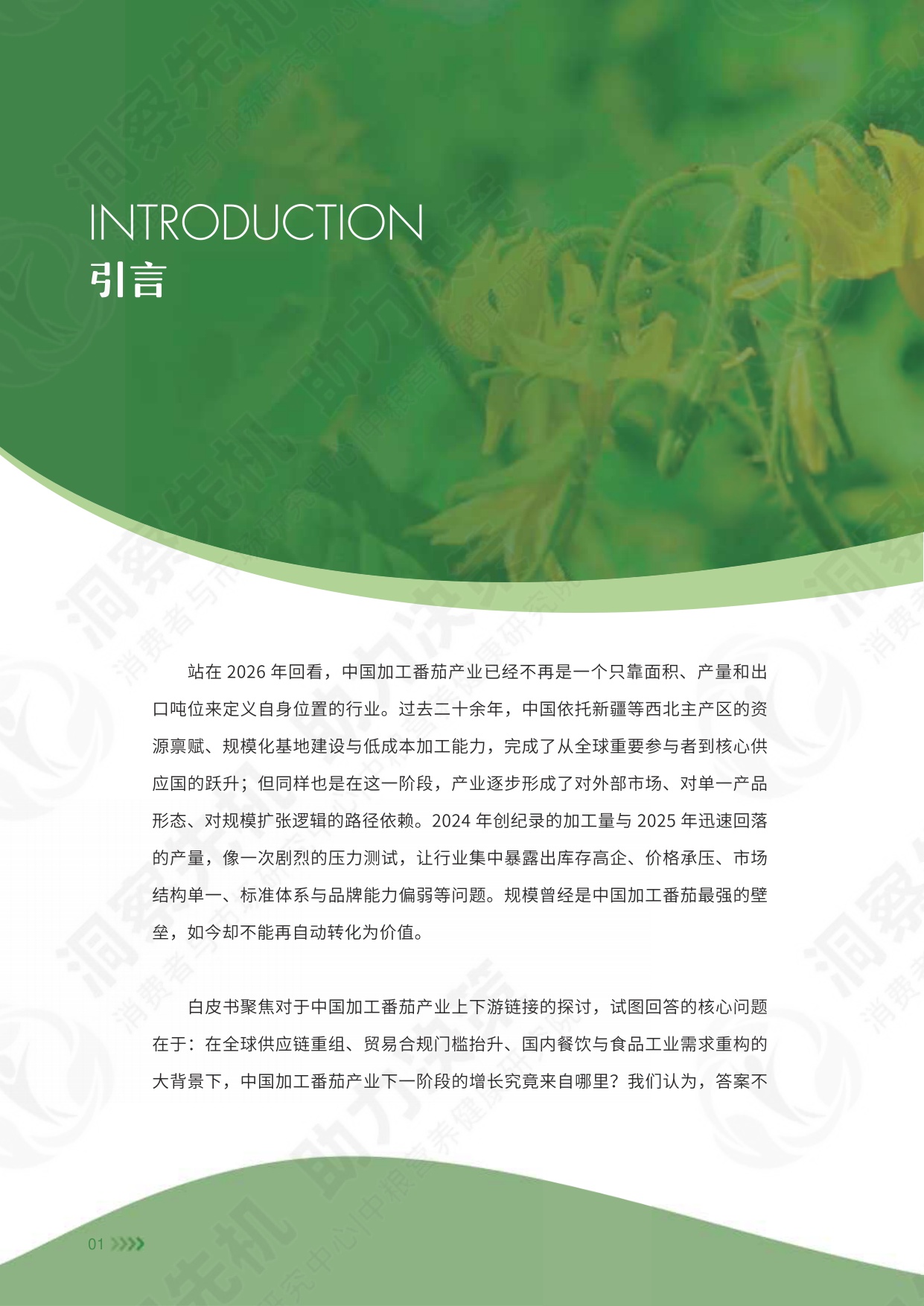 中粮营养健康研究院：2026中国加工番茄产业白皮书.pdf