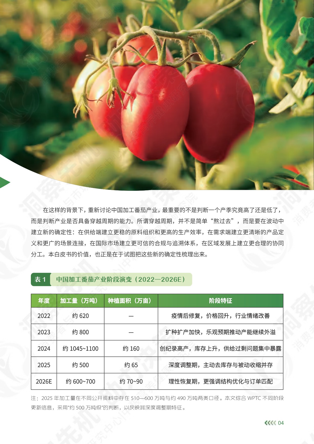 中粮营养健康研究院：2026中国加工番茄产业白皮书.pdf