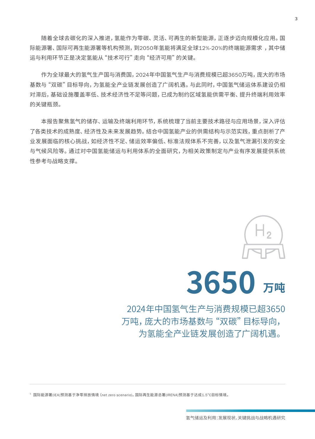 2025年氢气储运及利用发展现状、关键挑战与战略机遇研究报告.pdf