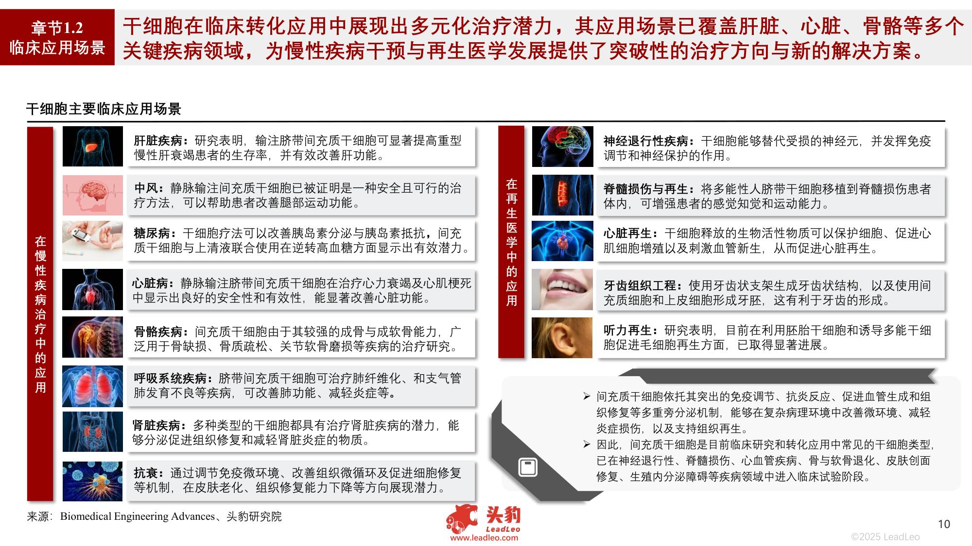 2025年中国干细胞行业发展现状及趋势洞察行业研究报告.pdf