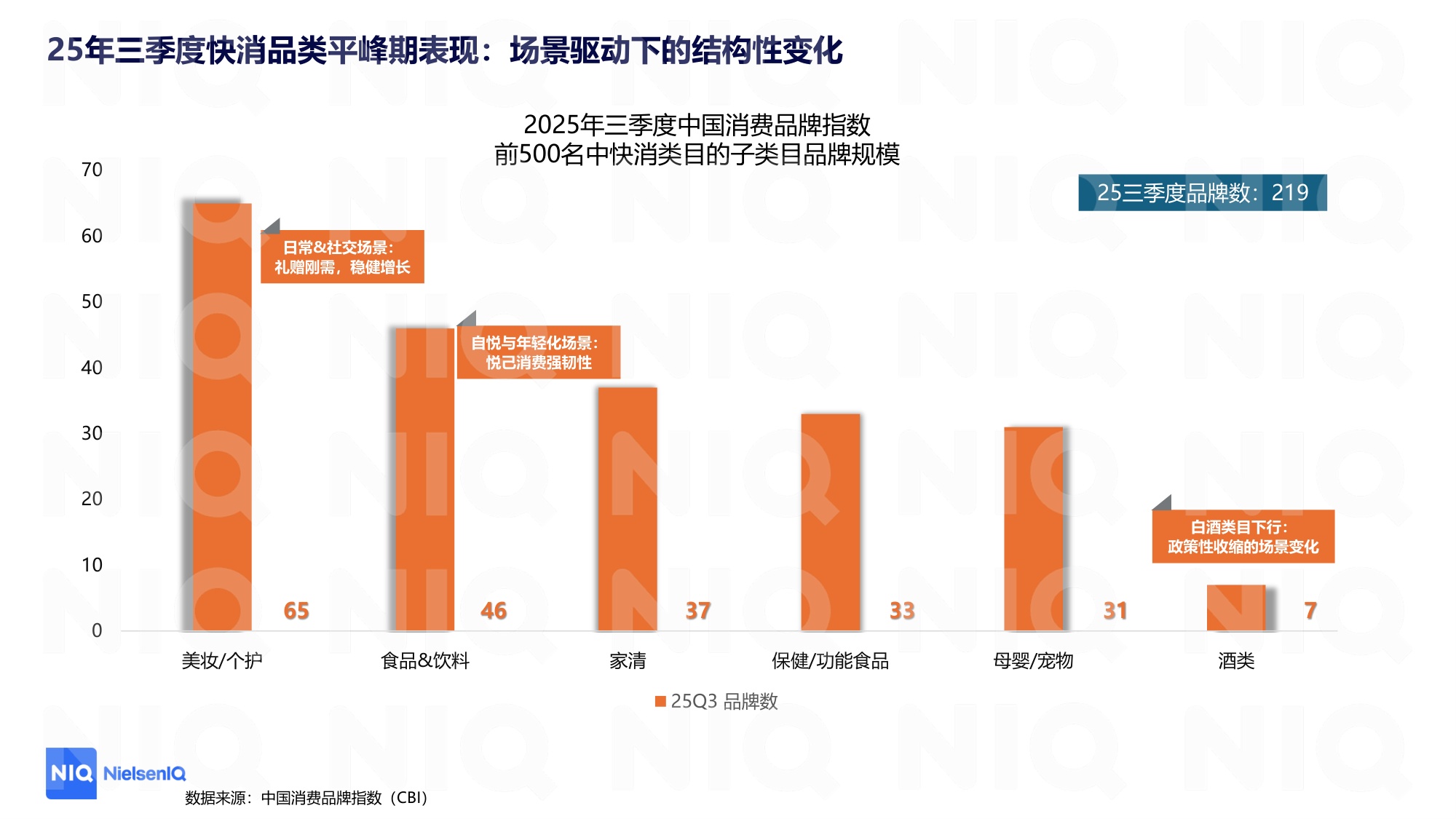 2025三季度CBI解读：用复购承接大促红利，品牌平峰期运营指南.pdf