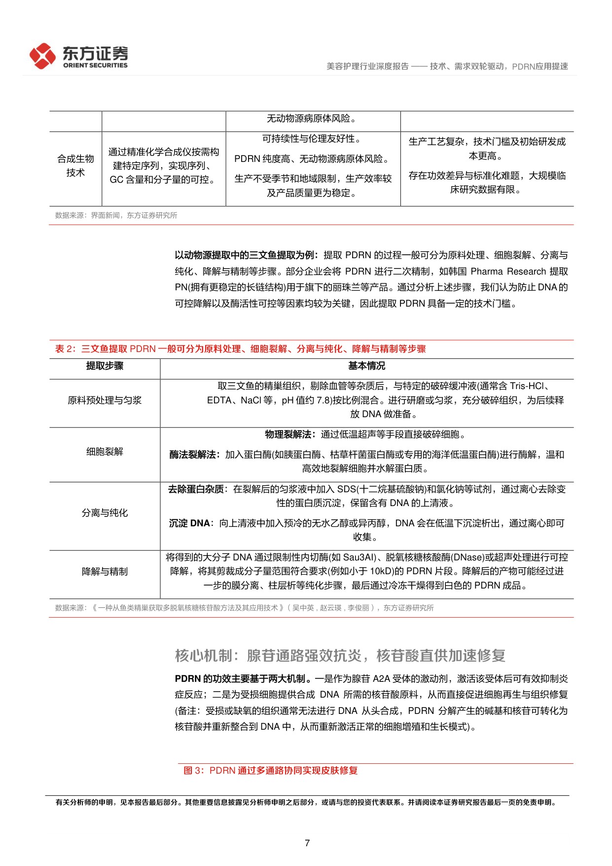 美容护理系列深度报告2——技术、需求双轮驱动，PDRN应用提速.pdf