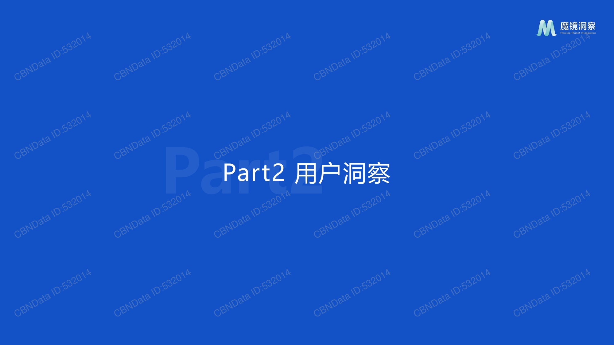 魔镜洞察：2025年AI玩具市场机会洞察报告.pdf
