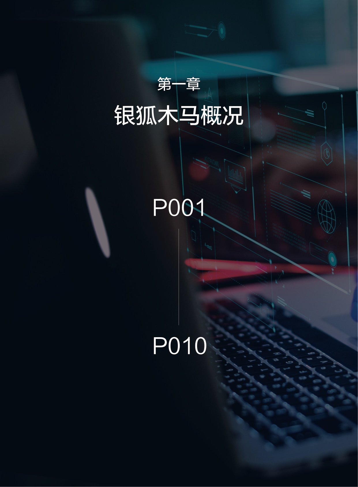 360数字安全：2025年银狐木马年度报告.pdf