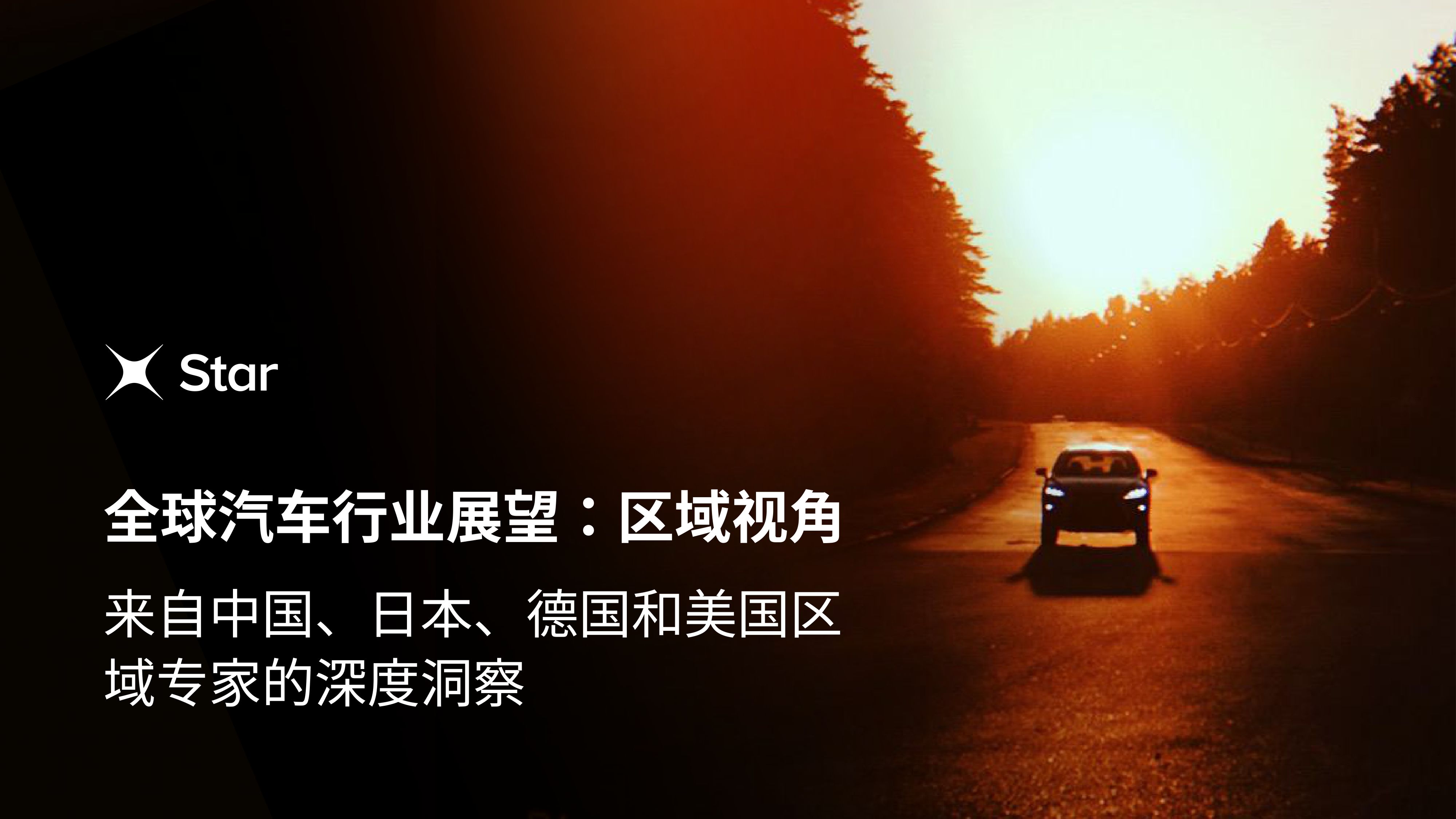 Star：2025年全球汽车行业展望报告：区域视角.pdf