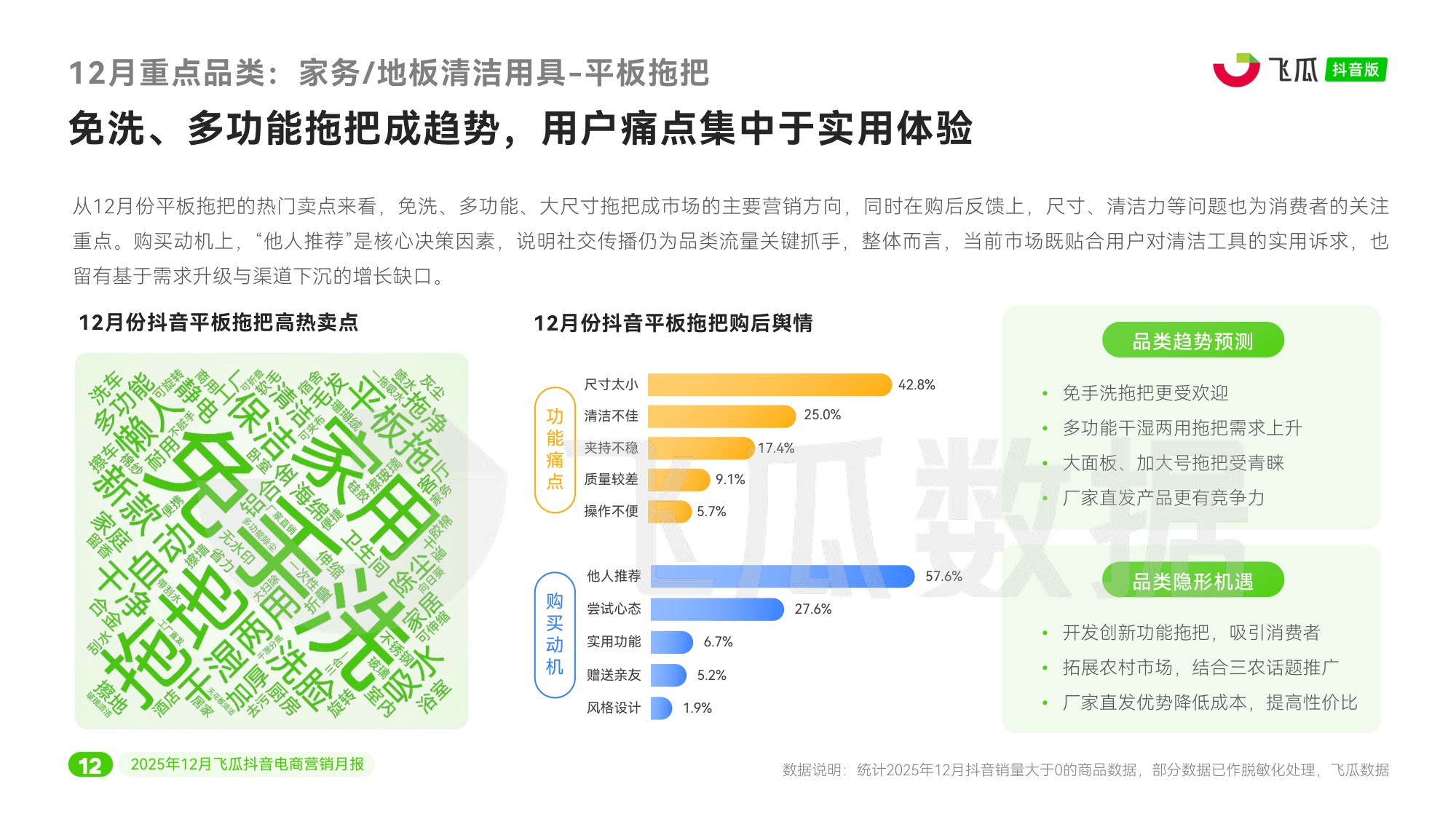 瓜数据：2025年12月飞瓜抖音电商营销月报.pdf