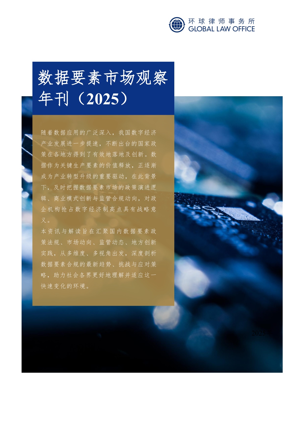 环球律师事务所：数据要素市场观察年刊（2025）.pdf