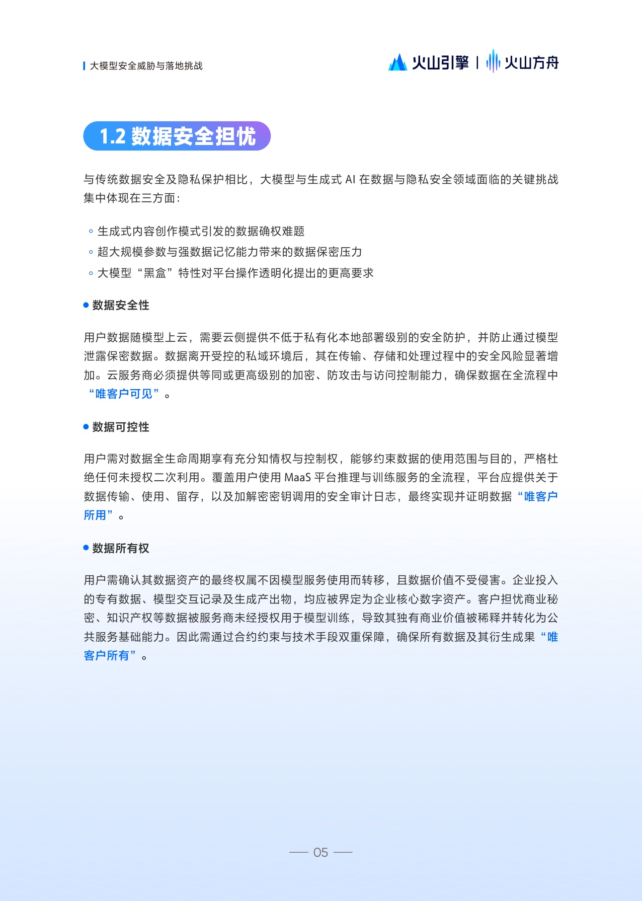 火山方舟：2025大模型服务安全白皮书.pdf