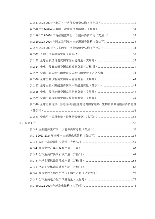 能研智库：2025年全球能源统计手册（简版）.pdf