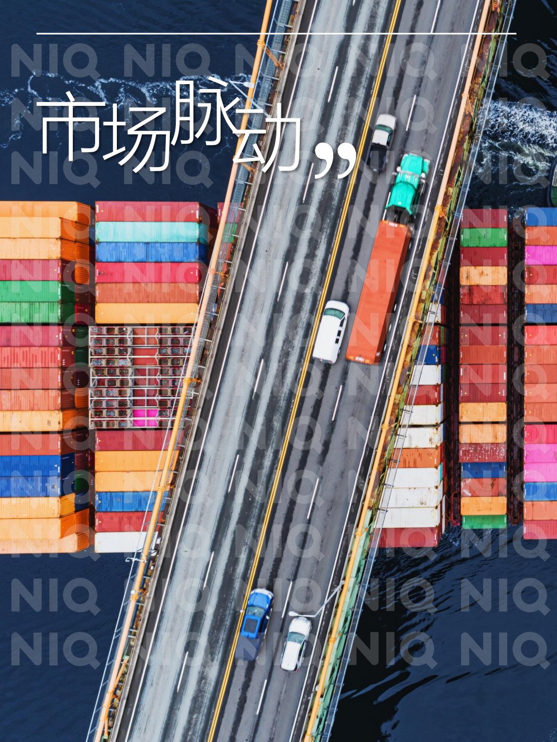 尼尔森IQ：2025年中国消费零售市场十大关键趋势报告.pdf