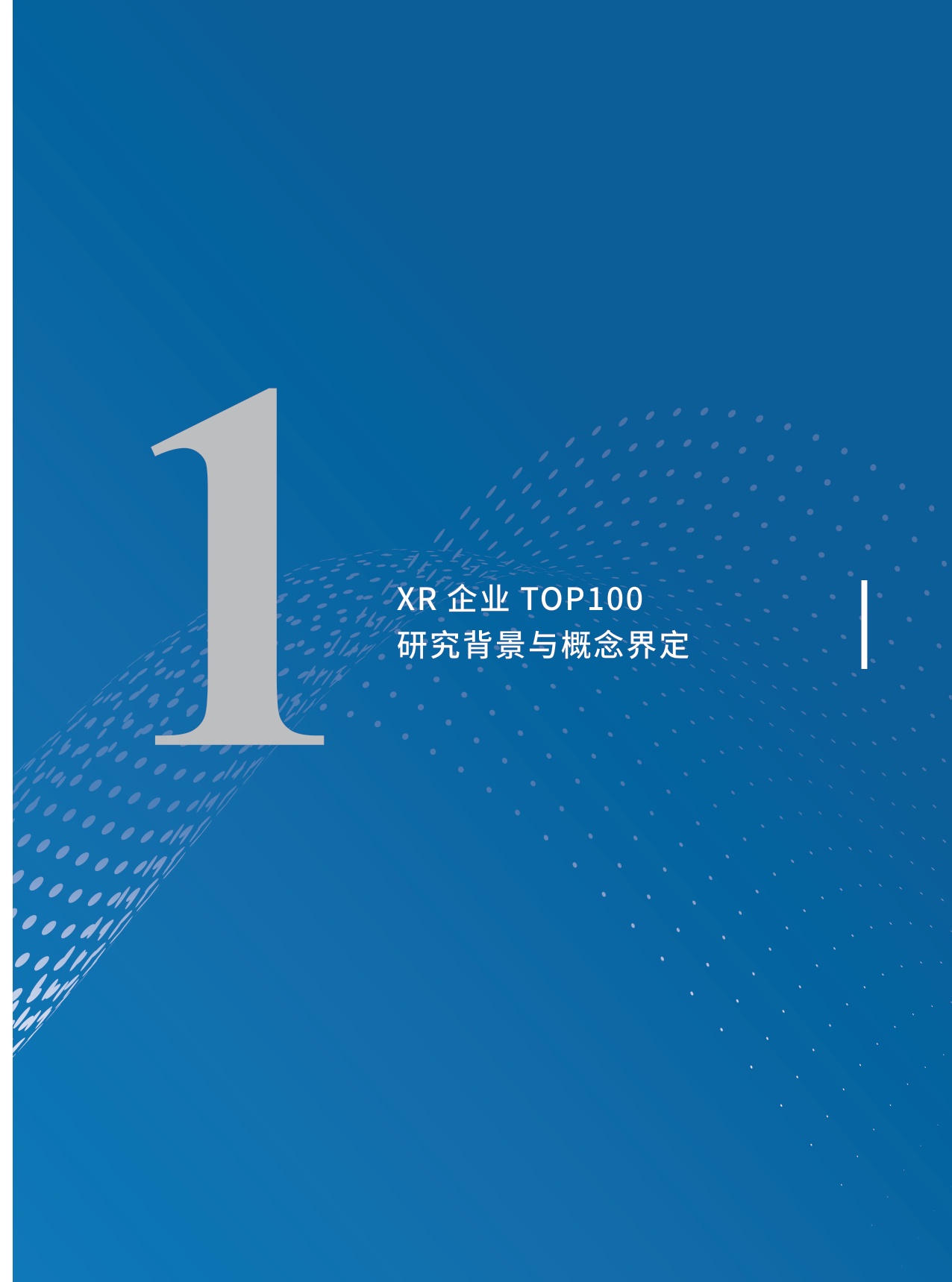 中国企业评价协会：2025年中国XR企业TOP100发展报告.pdf