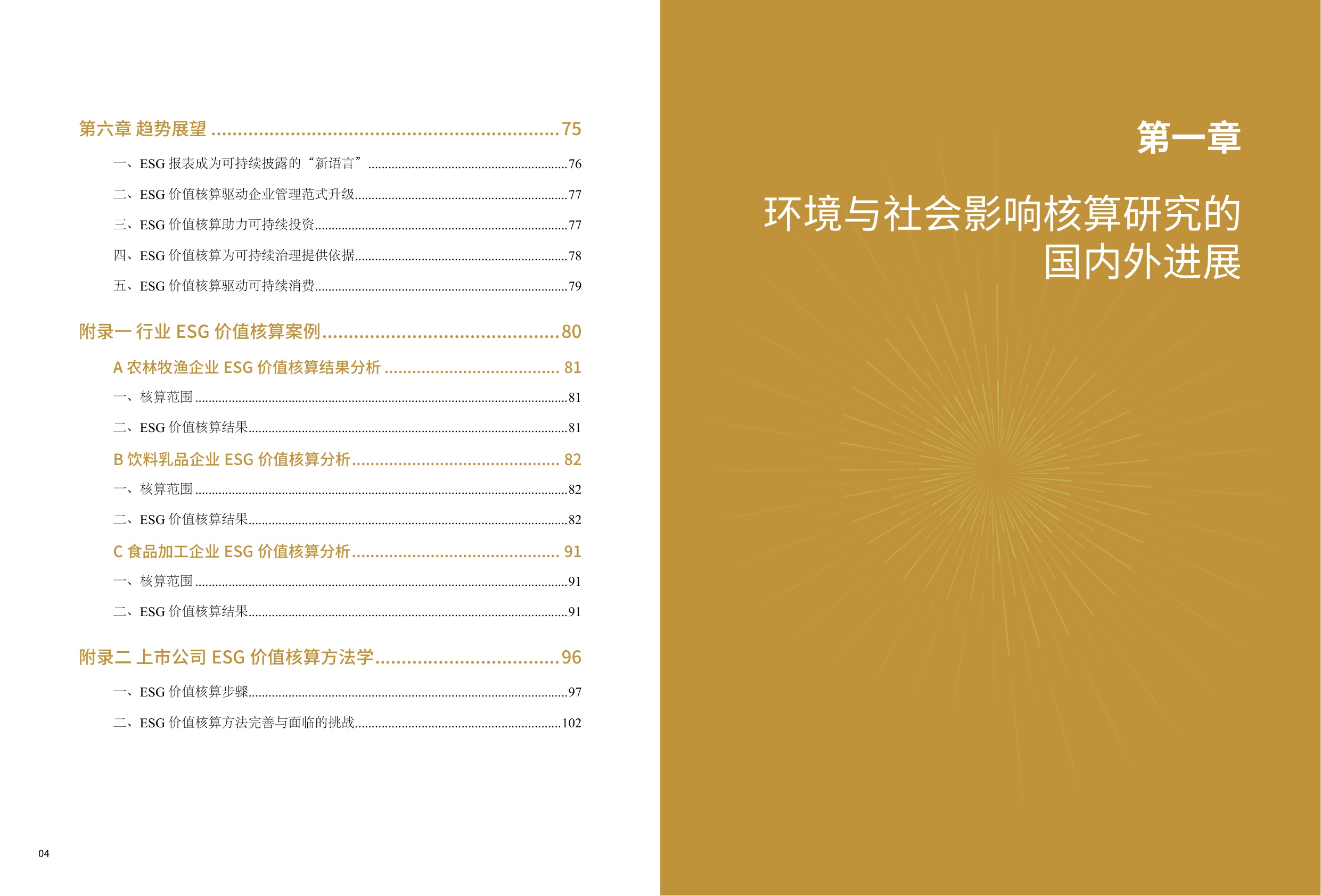 中国上市公司协会：中国上市公司ESG价值核算报告（2025年）.pdf