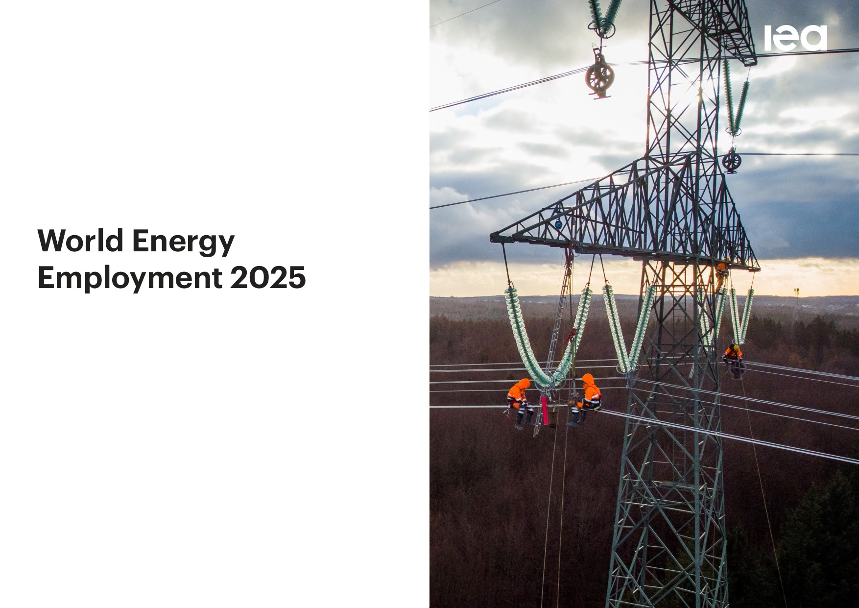 2025年世界能源就业报告.pdf