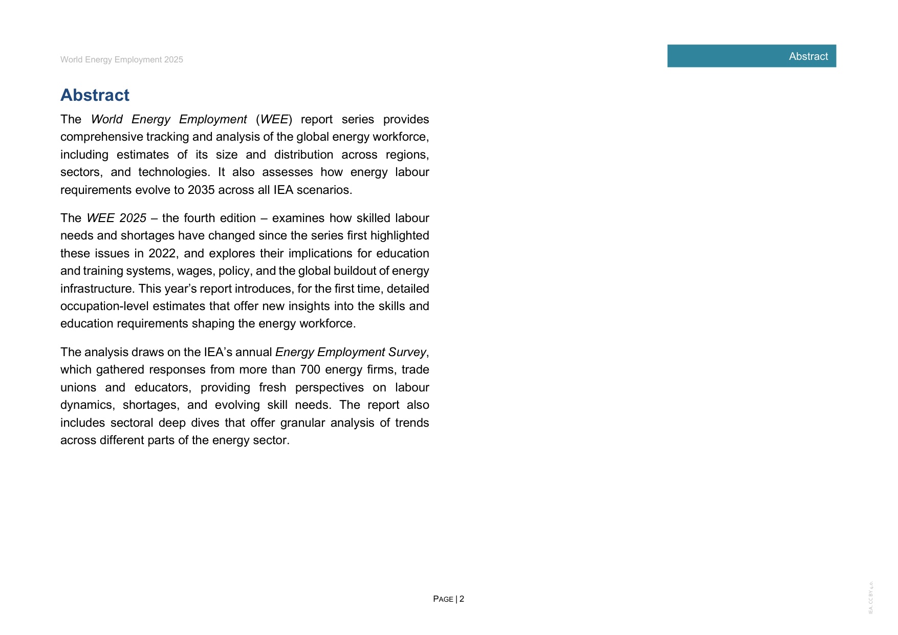 2025年世界能源就业报告.pdf