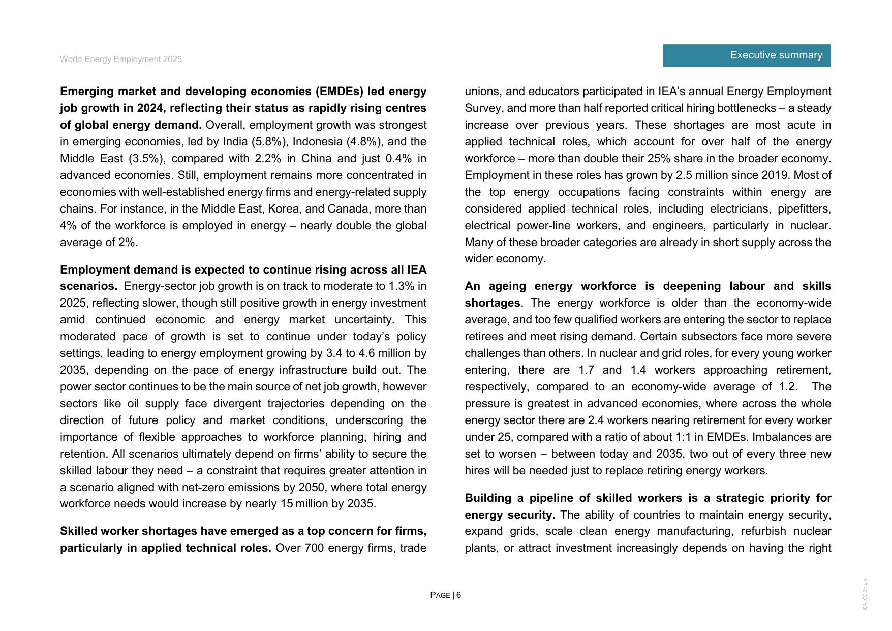 2025年世界能源就业报告.pdf