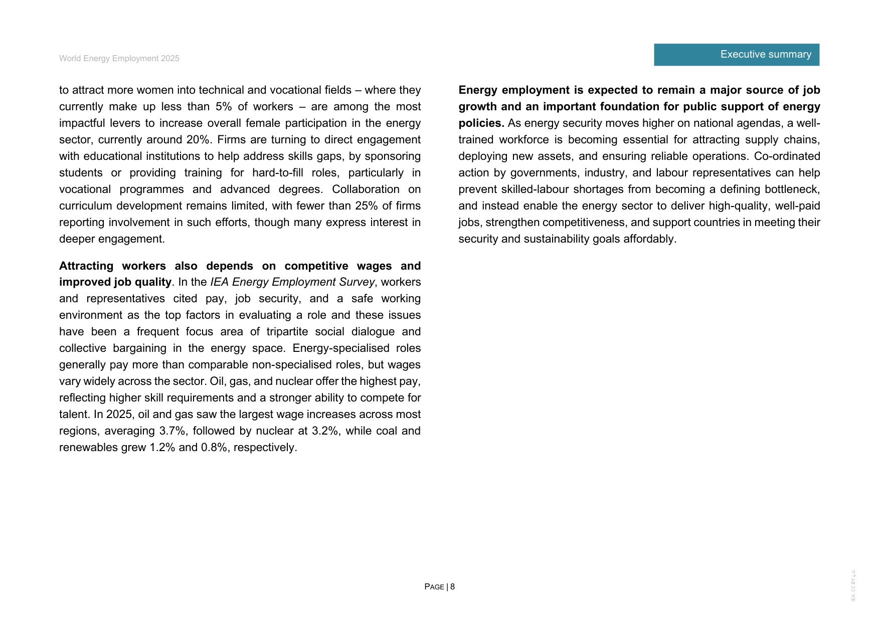 2025年世界能源就业报告.pdf