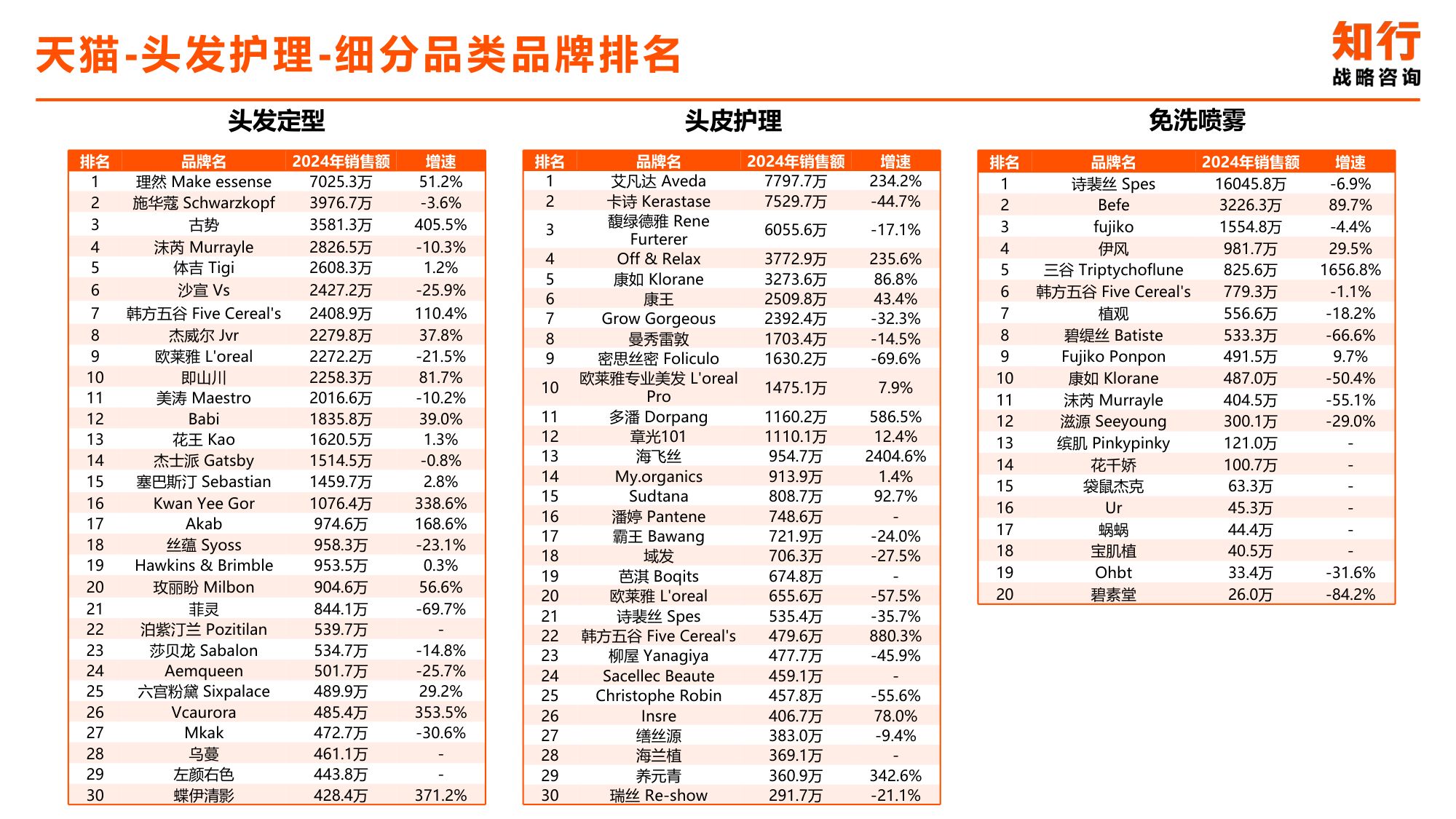 2025年头发护理电商消费趋势-知行咨询.pdf