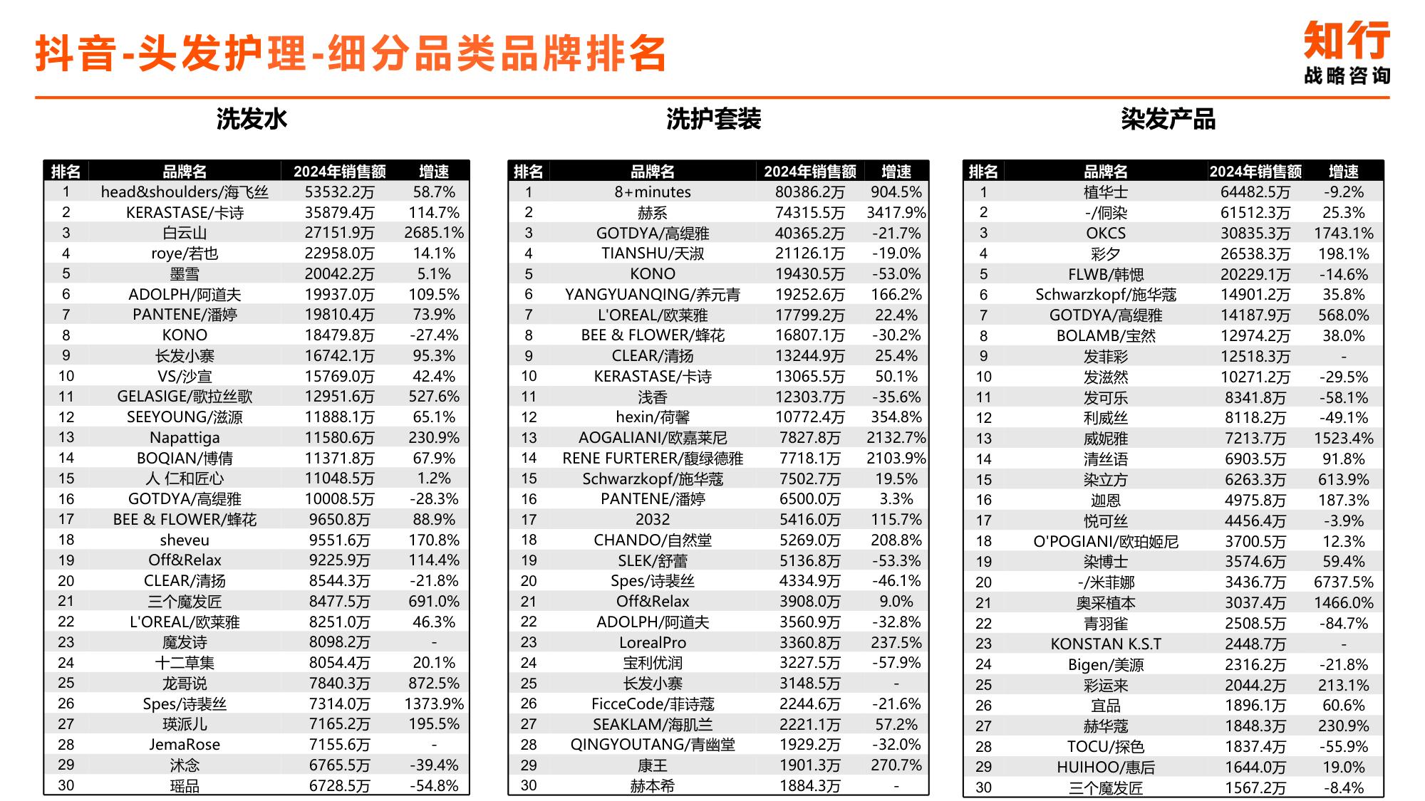 2025年头发护理电商消费趋势-知行咨询.pdf