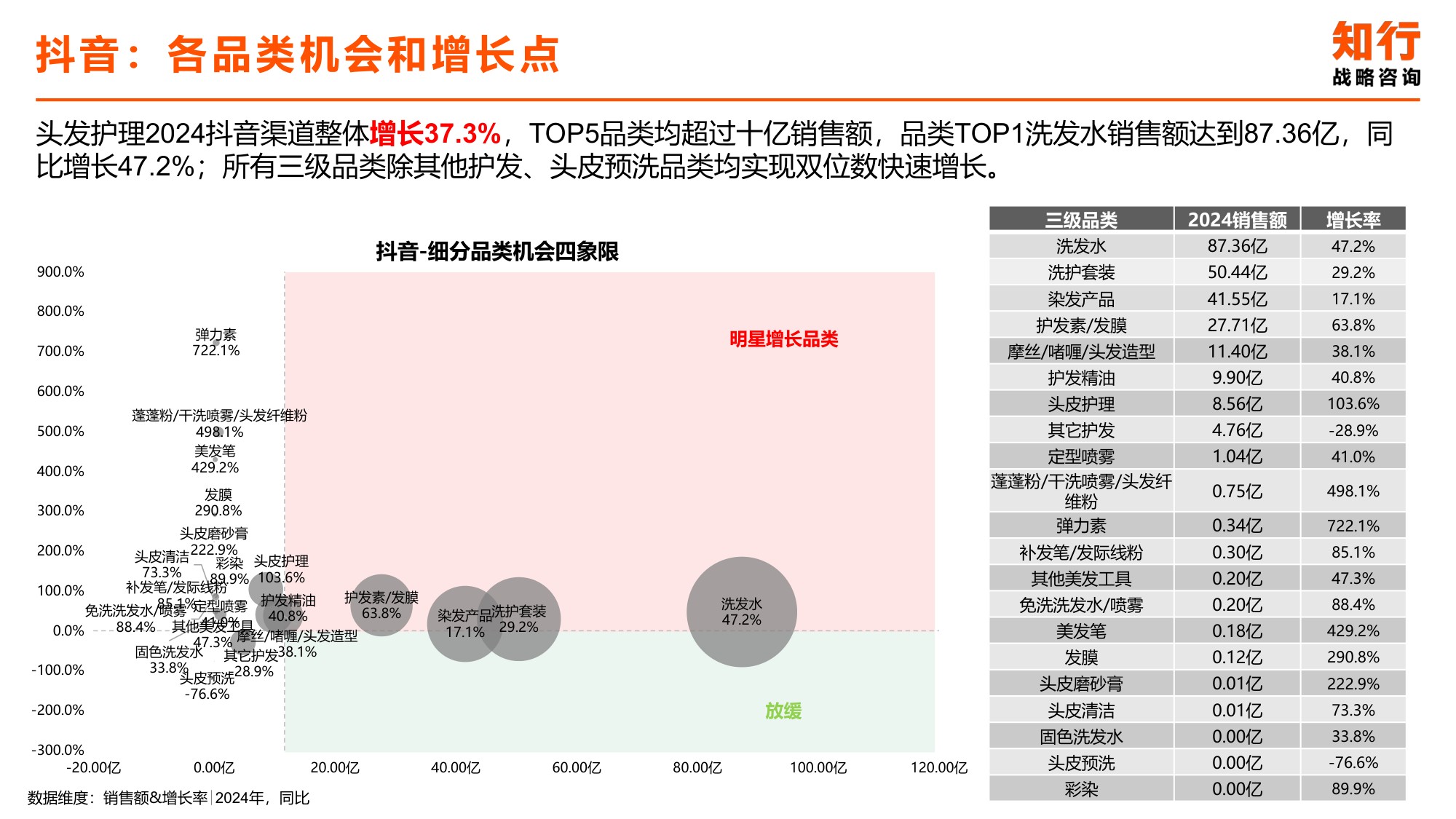 2025年头发护理电商消费趋势-知行咨询.pdf