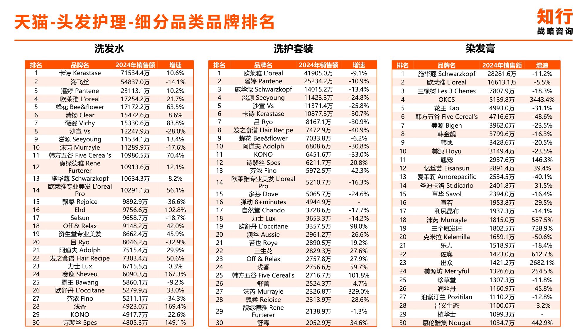 2025年头发护理电商消费趋势-知行咨询.pdf