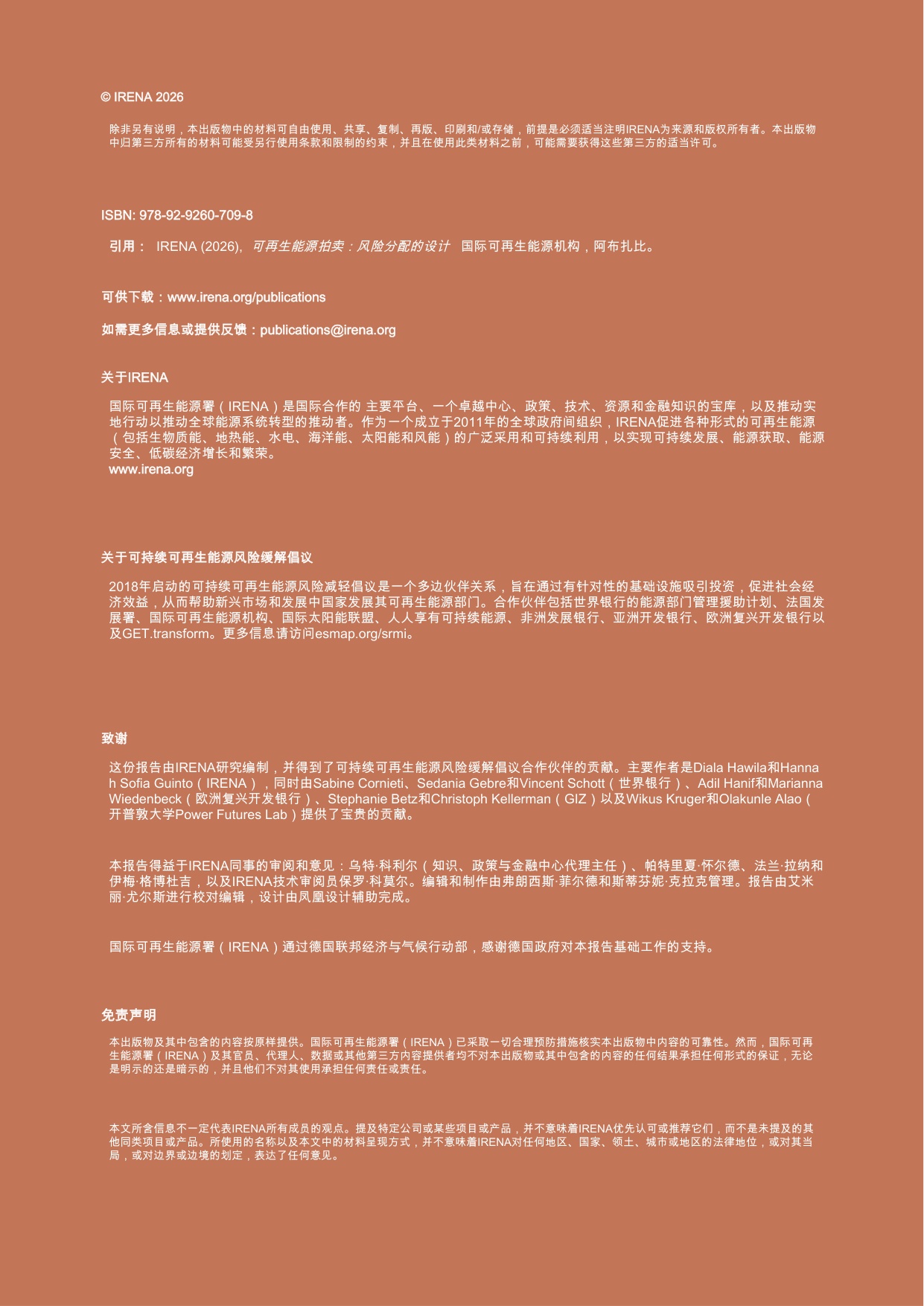 IRENA国际可再生能源署：2025年可再生能源拍卖报告.pdf