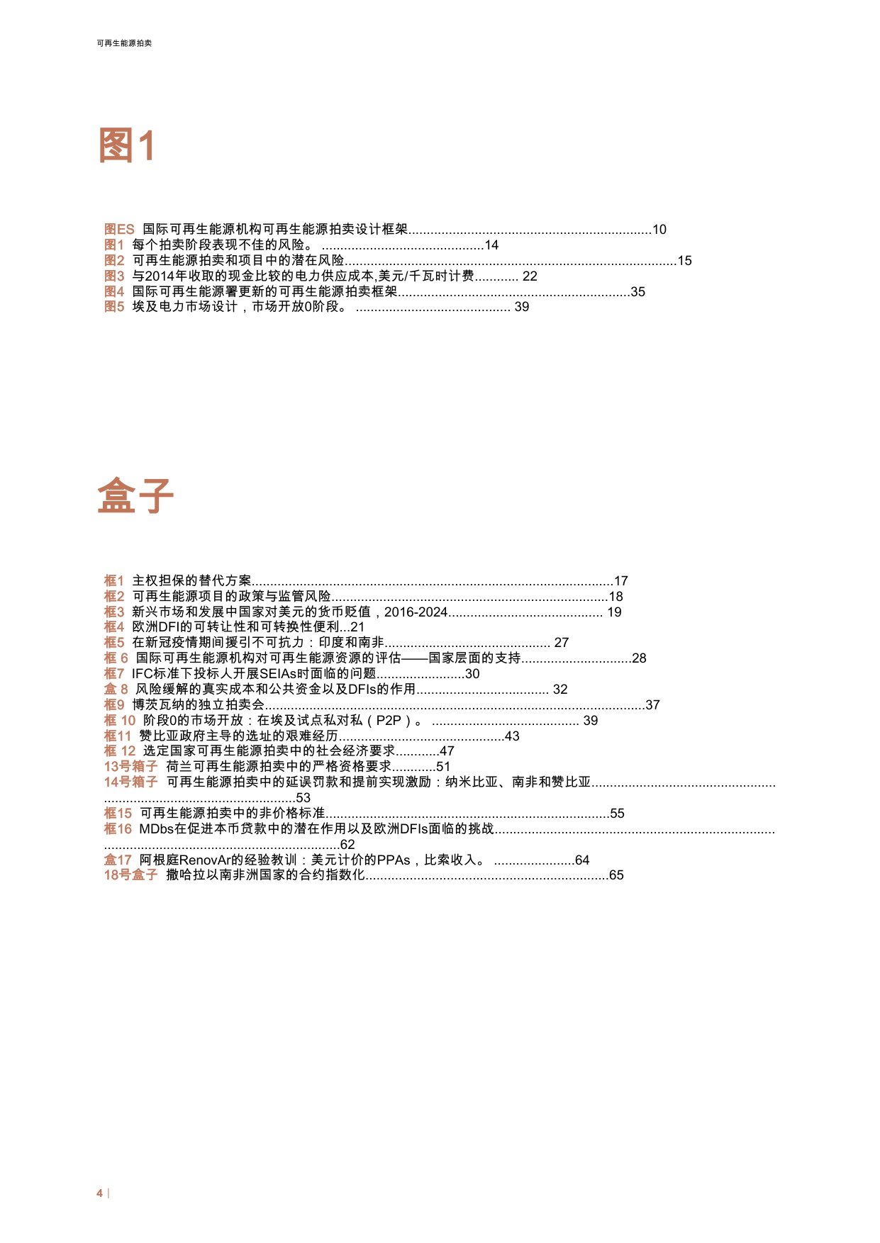 IRENA国际可再生能源署：2025年可再生能源拍卖报告.pdf
