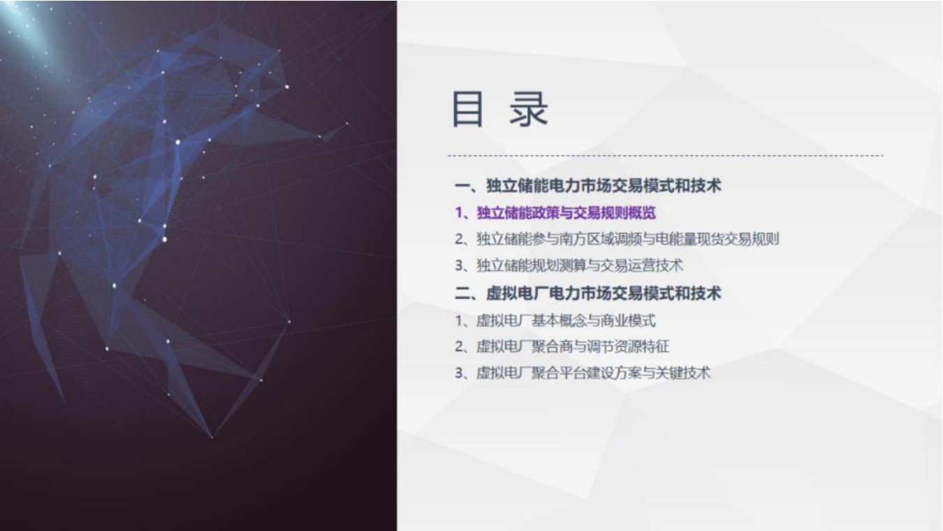 北京清能：独立储能与虚拟电厂电力市场交易模式和技术.pdf