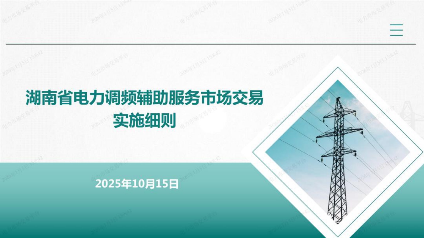 国网湖南PPT：湖南省电力调频辅助服务市场交易实施细则培训.pdf