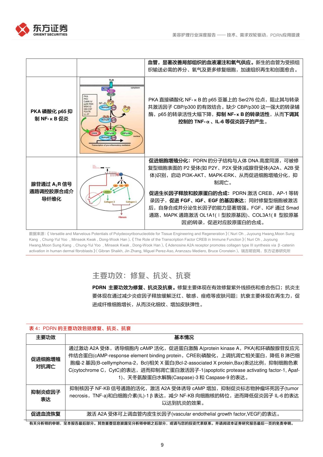 美容护理系列深度报告2：技术、需求双轮驱动，PDRN应用提速.pdf
