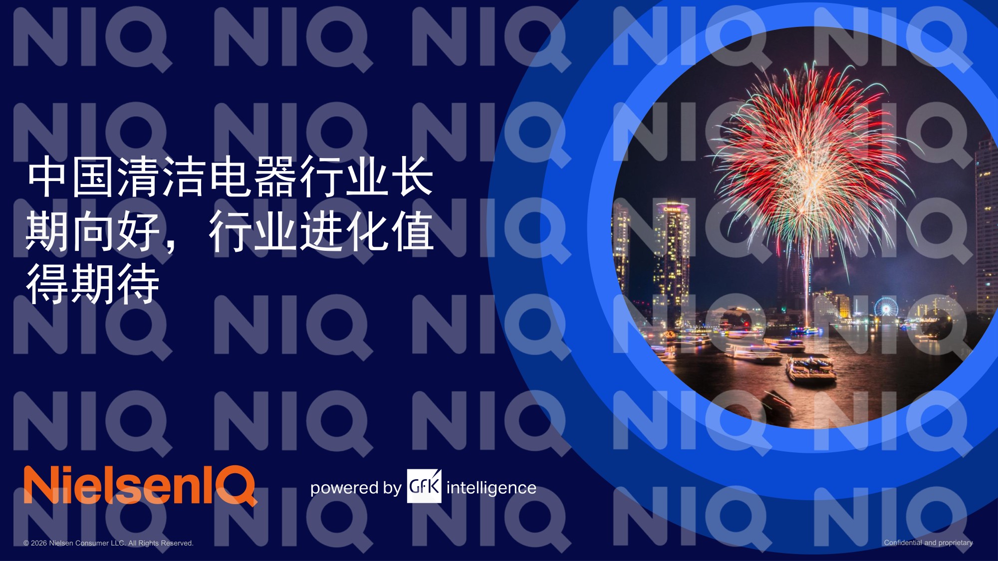 尼尔森IQ：2025年全球清洁电器发展报告.pdf