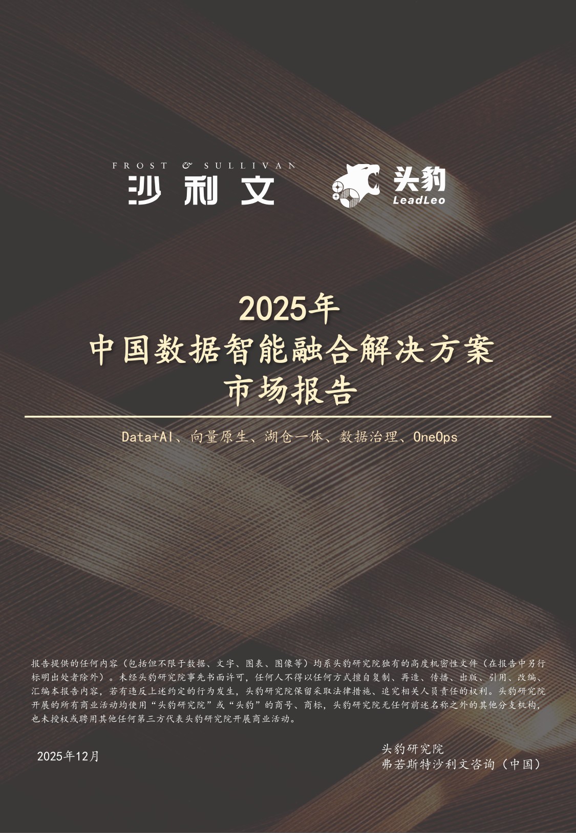 沙利文：2025年中国数据智能融合解决方案市场报告.pdf