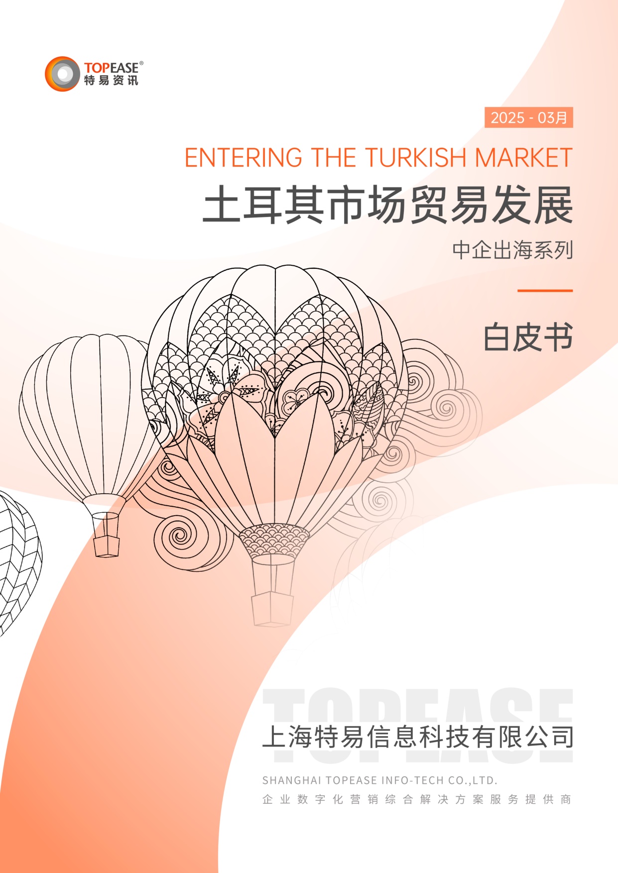 土耳其市场贸易发展白皮书.pdf