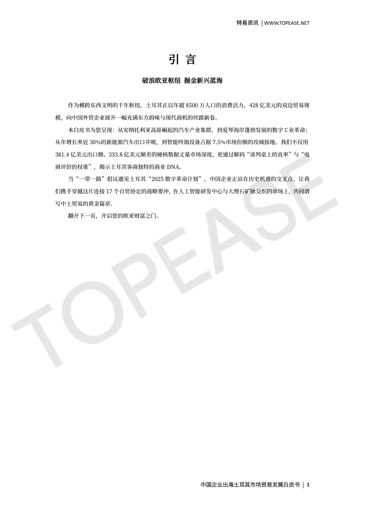 土耳其市场贸易发展白皮书.pdf